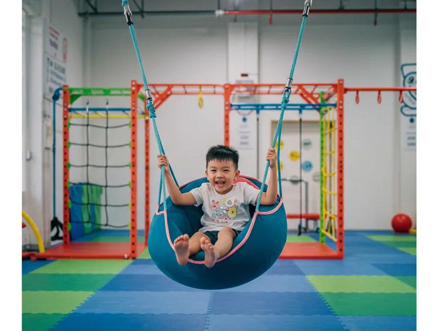 Swings & Monkey Bar